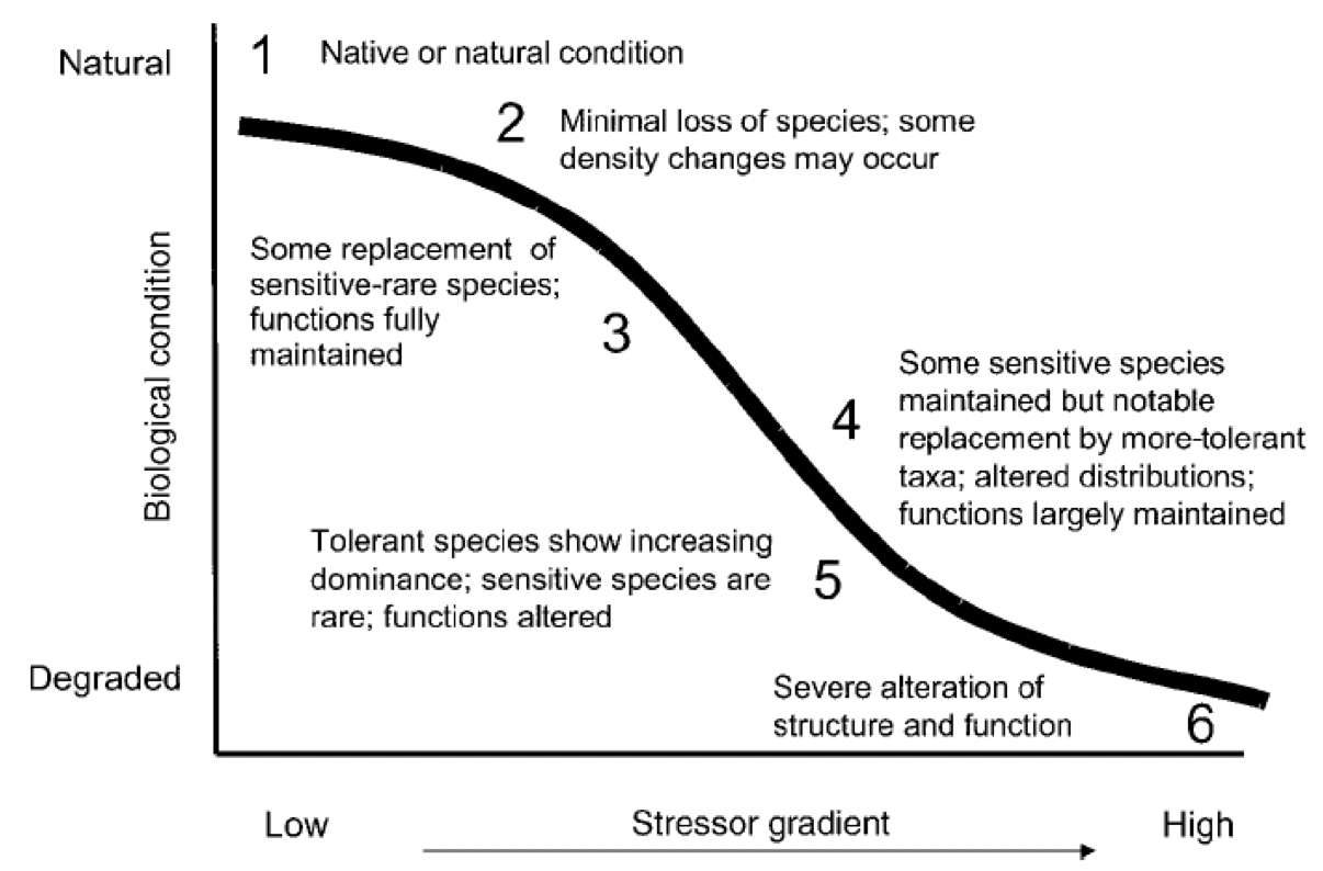 Ecological Engineering – Conservation Techniques