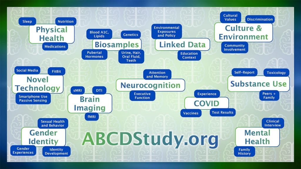 ABCDStudy.org topic map showing major ABCD Study data domains, including physical health, biosamples, brain imaging, neurocognition, mental health, substance use, culture and environment, linked data, COVID, novel technology, and gender identity.