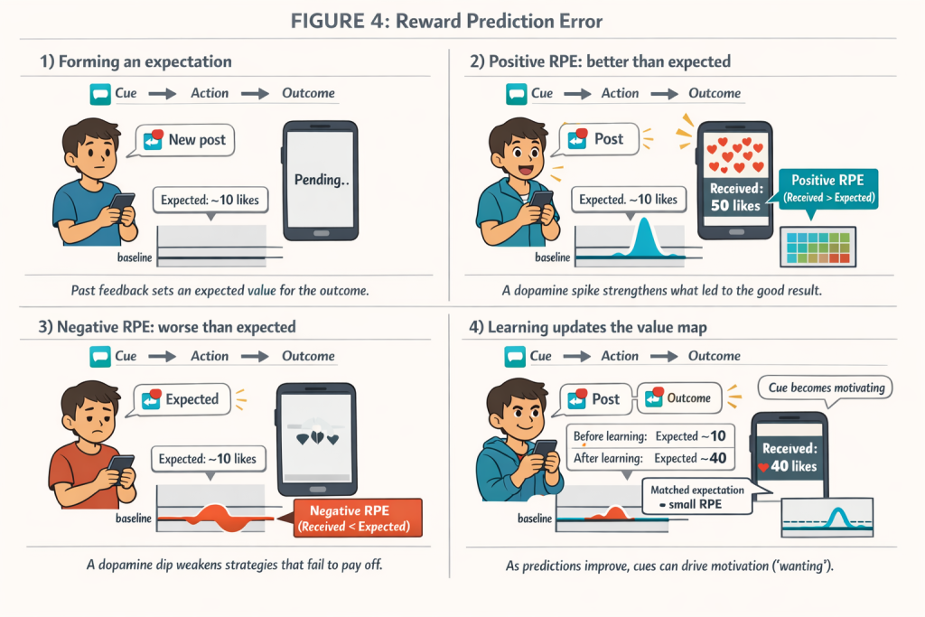 Four-panel infographic titled “Figure 4: Reward Prediction Error.” Each panel uses a social media “likes” example to show how dopamine-like teaching signals reflect the mismatch between expected and received outcomes. Panel 1 shows a cue (“New post”) and an expectation of about 10 likes with a flat baseline trace. Panel 2 shows a positive RPE: the post receives 50 likes and the trace shows a sharp upward spike. Panel 3 shows a negative RPE: fewer likes than expected and the trace dips below baseline. Panel 4 shows learning: expectations update upward (about 40 likes), the received outcome matches, and the RPE signal becomes small while the cue becomes motivating.