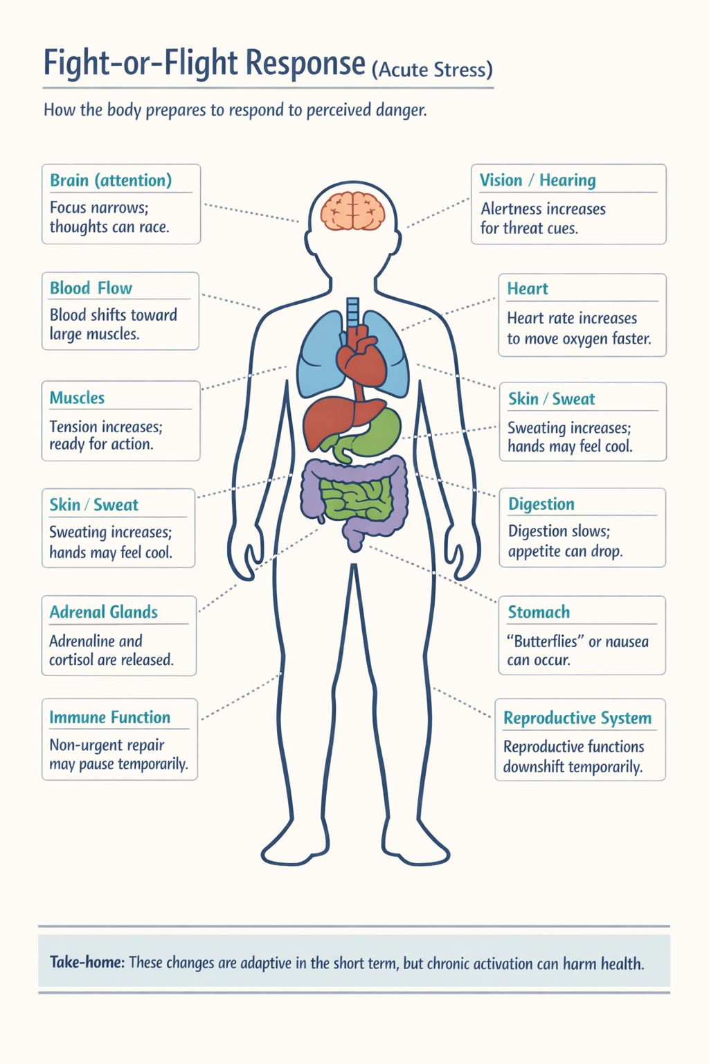 Social Determinants & Adverse Childhood Experiences – Data Science ...