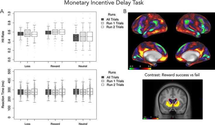 Two-panel figure summarizing MID task results in the ABCD study: Panel A shows boxplots of hit rate and reaction time for loss, reward, and neutral conditions (all trials and by run). Panel B shows brain maps illustrating reward-related activation patterns, including a “reward success vs fail” contrast highlighting ventral striatum regions.