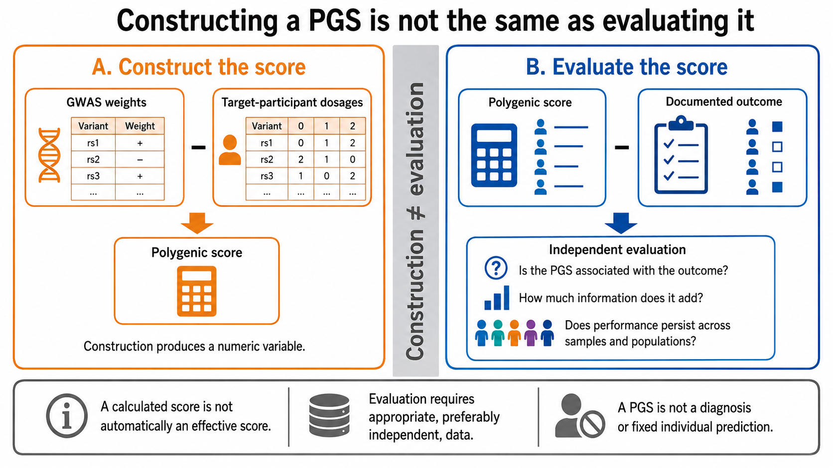 Two-panel diagram distinguishing PGS construction from evaluation. In Panel A, GWAS weights are combined with target-participant allele dosages to construct a numeric polygenic score. In Panel B, the completed score is compared with a separately documented outcome in independent data. Evaluation asks whether the score is associated with the outcome, how much information it adds beyond a baseline model, and whether its performance persists across samples and populations. Calculating a score does not demonstrate that it performs well.