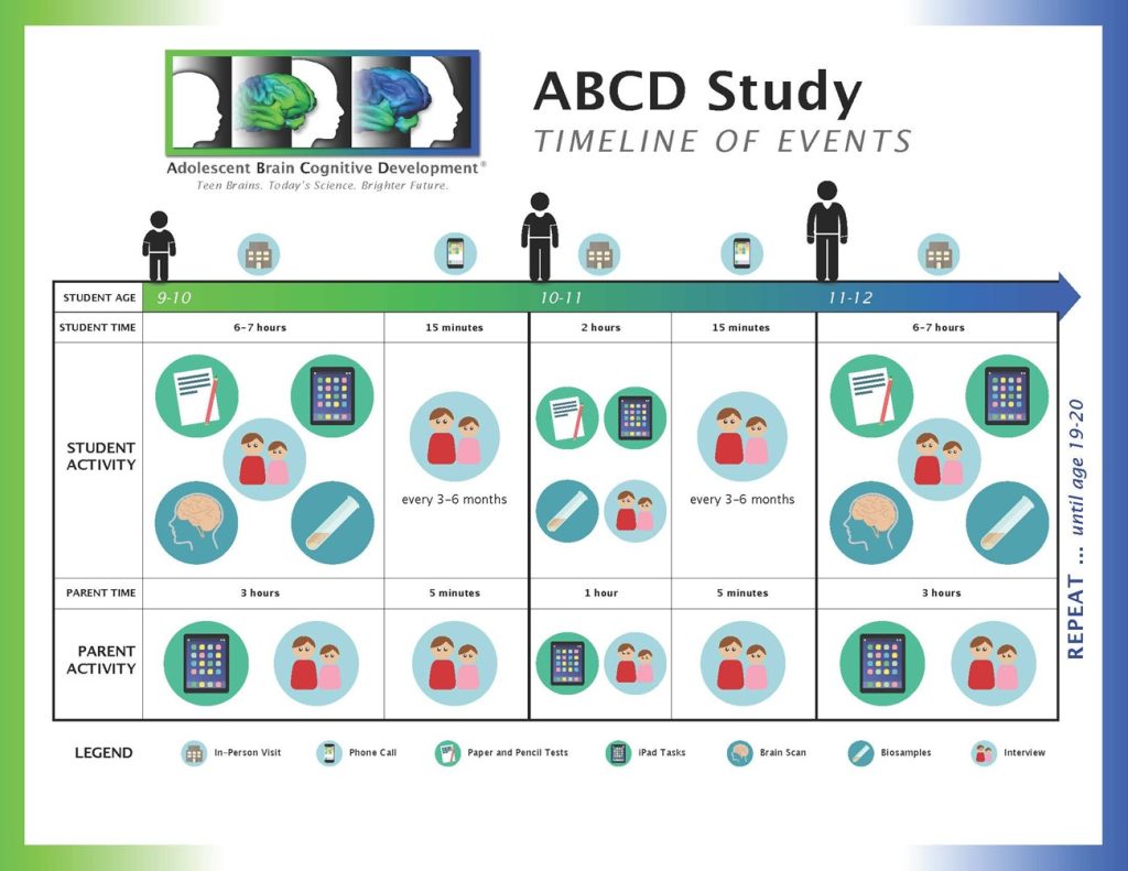 ABCD Study timeline infographic showing ages 9–12 with in-person visits and brief phone check-ins every 3–6 months, plus tests, interviews, scans, and biosamples, repeating to ages 19–20.