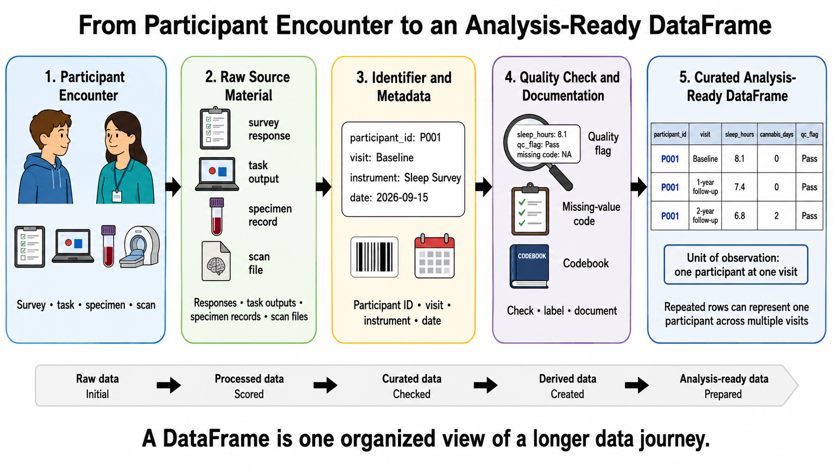 Five-panel diagram showing how research information becomes an analysis-ready DataFrame. A participant encounter produces survey responses, task output, specimen records, or scan files. The information receives a participant ID, visit label, instrument label, and date. Quality checks, missing-value codes, and codebook documentation are applied. The final DataFrame contains rows for one participant across baseline and follow-up visits, with columns for participant ID, visit, sleep hours, cannabis-use days, and quality-control status. A bottom arrow shows the progression from raw to processed, curated, derived, and analysis-ready data.
