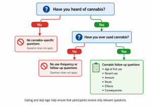 Flowchart showing a three-stage cannabis survey gate. The first question asks whether the participant has heard of cannabis. Participants who answer "No" receive no cannabis-specific questions. Participants who answer "Yes" are asked whether they have ever used cannabis. Those who answer "No" do not receive use-history or frequency questions. Those who answer "Yes" proceed to follow-up questions about age at first use, recent use, amount, route of administration, effects, and consequences. The diagram illustrates that some blank values in a dataset represent questions that did not apply rather than missing data.