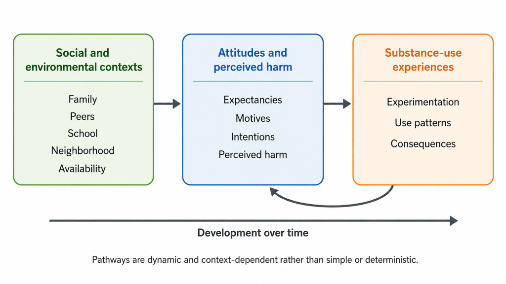 Conceptual diagram showing a left-to-right flow from social and environmental contexts to attitudes and perceived harm and then to substance-use experiences. Social and environmental contexts include family, peers, school, neighborhood conditions, and substance availability. Attitudes and perceived harm include expectancies, motives, intentions, and perceived harm. A feedback arrow connects substance-use experiences back to attitudes and perceived harm, and a timeline labeled "development over time" indicates that these relationships change across development and are repeatedly observed in longitudinal studies.